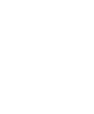 Protection Systems logo